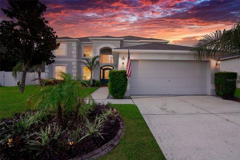 A home in RIVERVIEW