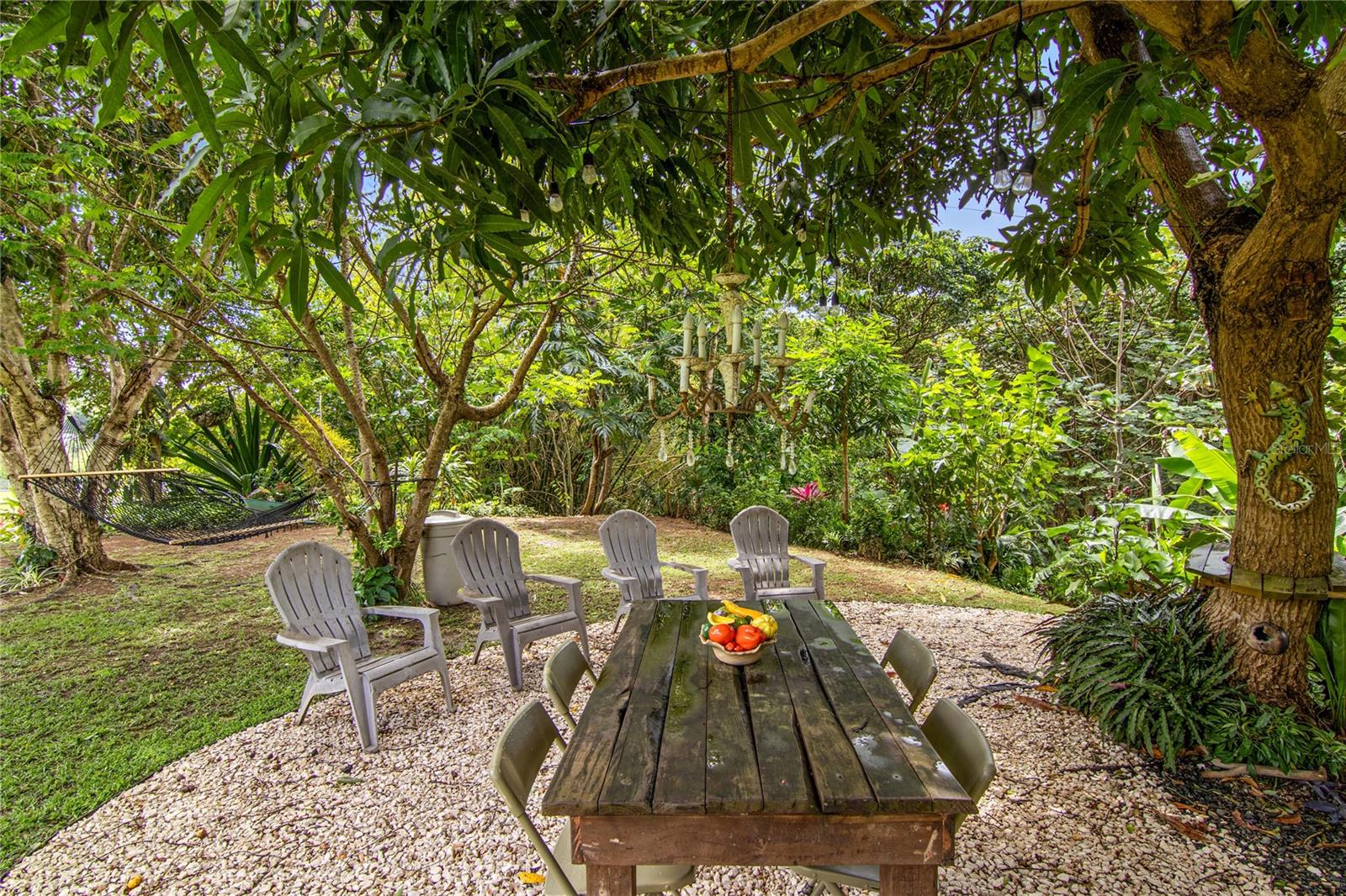 LA CEIBA SECTOR POLLOS WARD - Residential