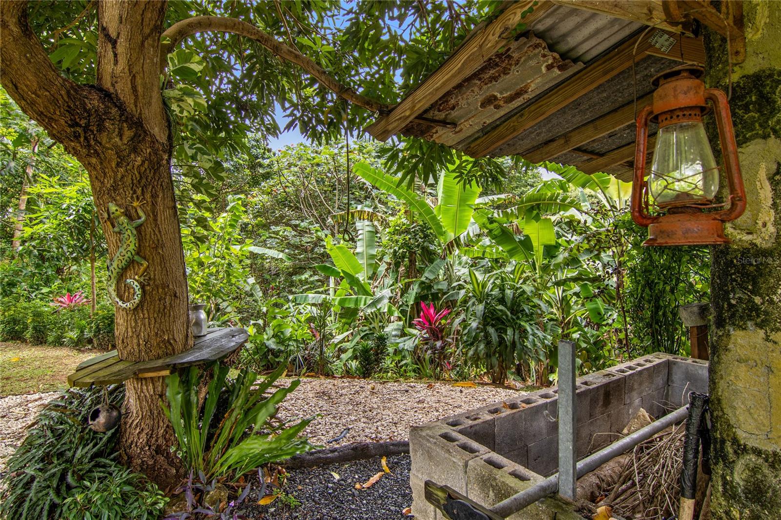 LA CEIBA SECTOR POLLOS WARD - Residential