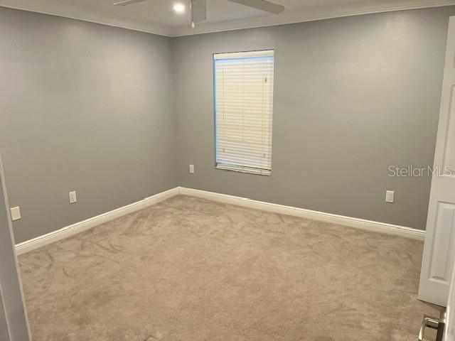 TURNING LEAF - Residential