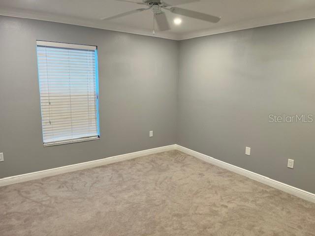 TURNING LEAF - Residential