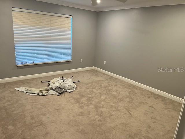 TURNING LEAF - Residential