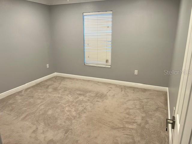 TURNING LEAF - Residential