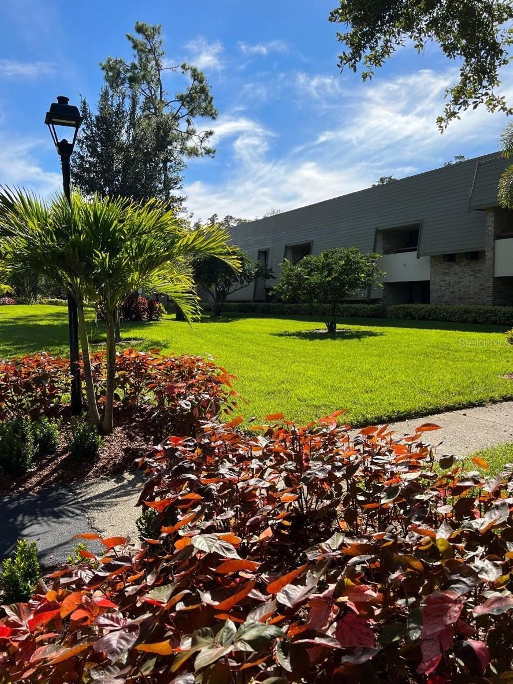 Photo of 36750 Us Highway 19 N #6-109, Palm Harbor, FL 34683 (MLS # TB8502909)