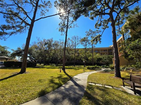 3078 EASTLAND BOULEVARD 411 CLEARWATER FL 33761