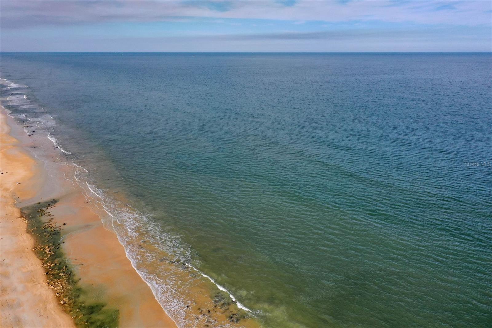 OCEAN HAMMOCK - Land