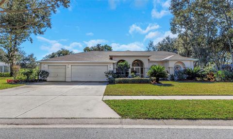 Photo of 1518 Fishing Lake Drive, Odessa, FL 33556 (MLS # TB8464108)