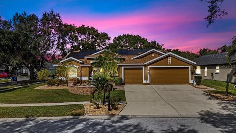 A home in VALRICO