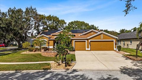 A home in VALRICO