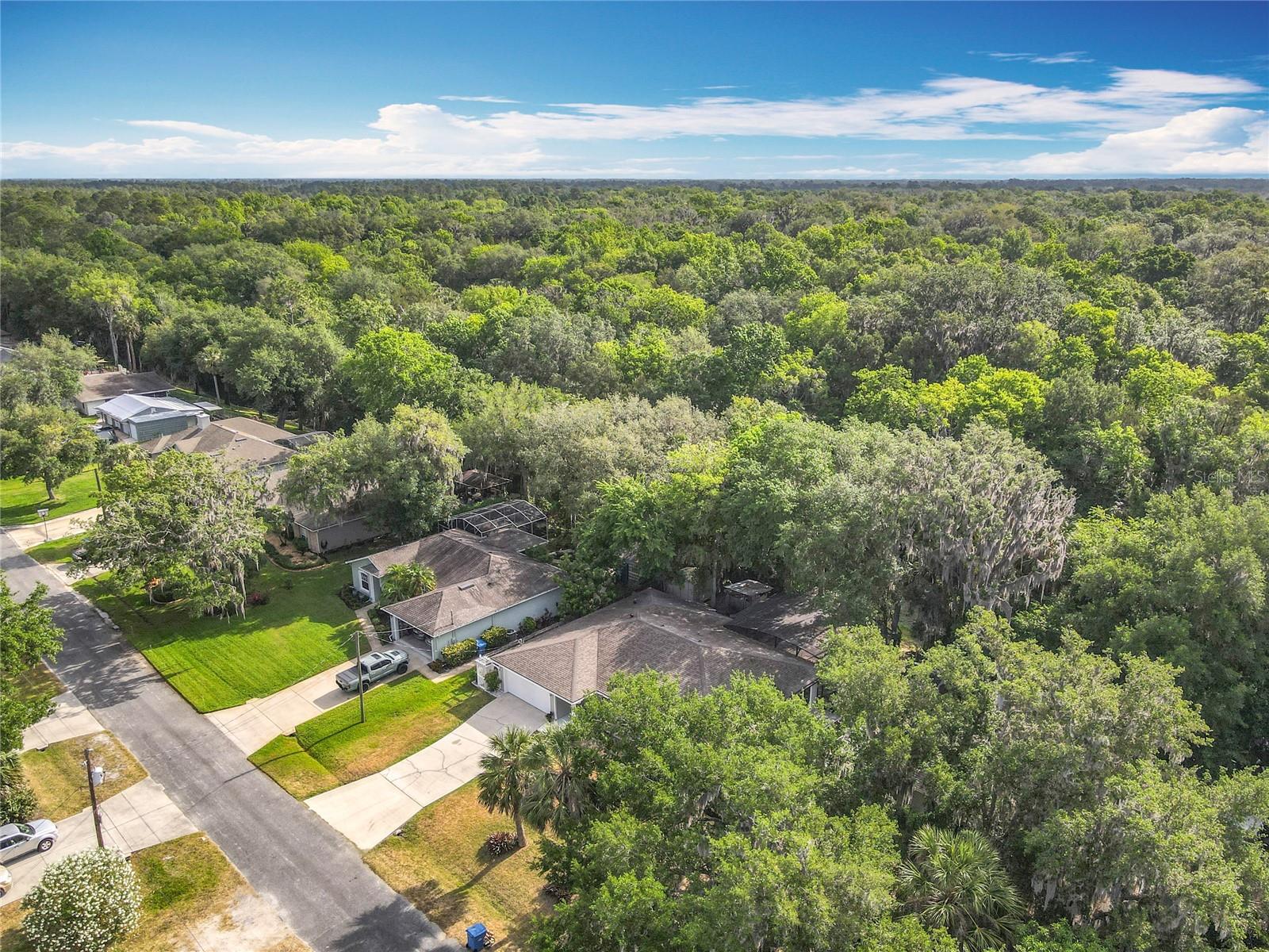 185 POINCIANA LANE