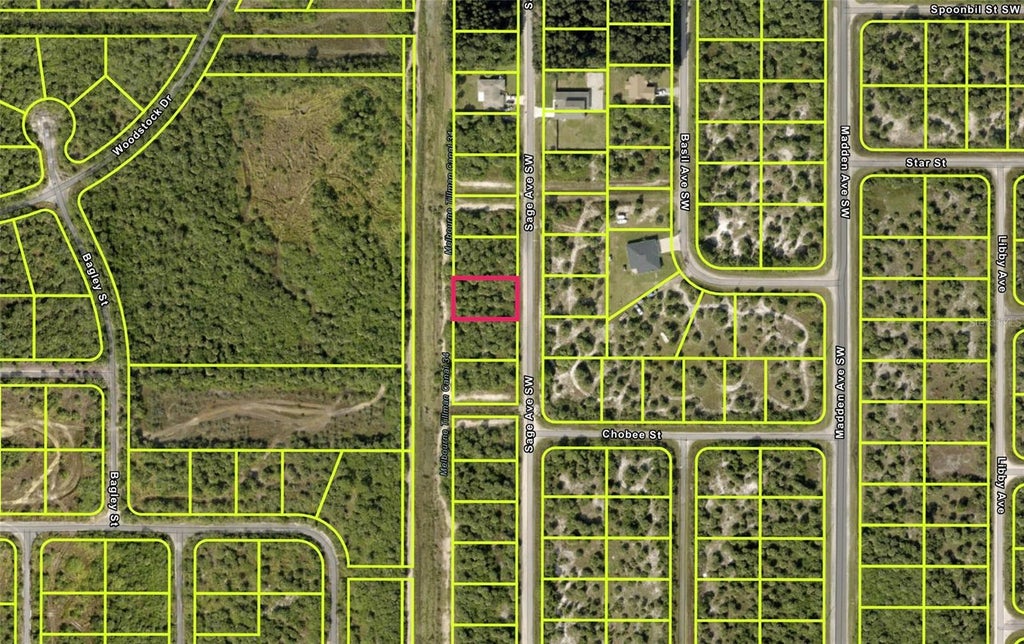 Photo of 2922 Sage Avenue SW, Palm Bay, FL 32908 (MLS # GC543555)