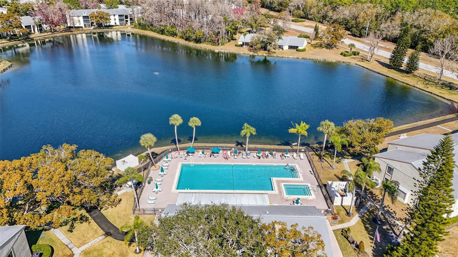 PINE RIDGE AT LAKE TARPON VILLAGE - Residential