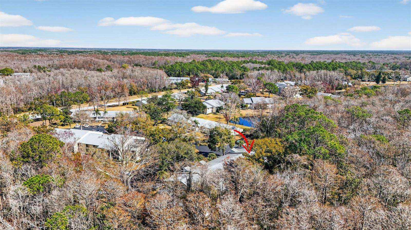 PINE RIDGE AT LAKE TARPON VILLAGE - Residential