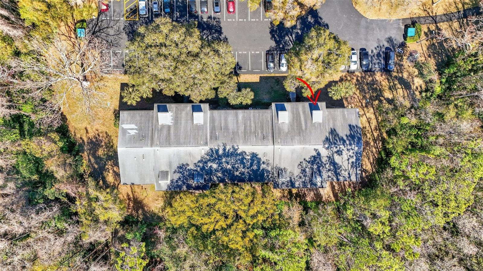 PINE RIDGE AT LAKE TARPON VILLAGE - Residential