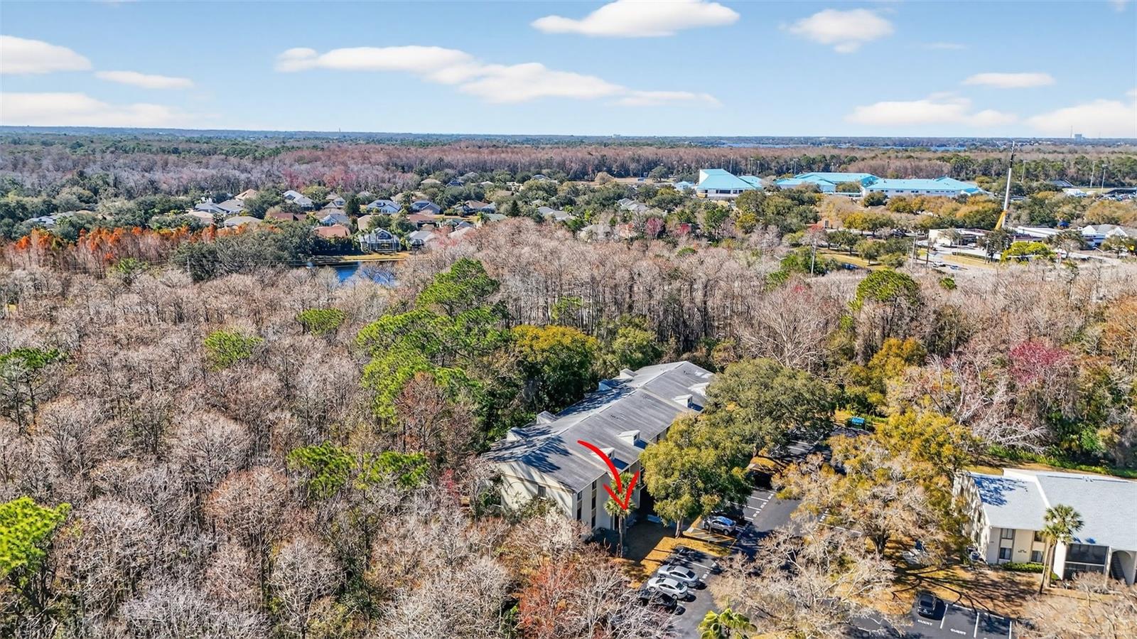 PINE RIDGE AT LAKE TARPON VILLAGE - Residential