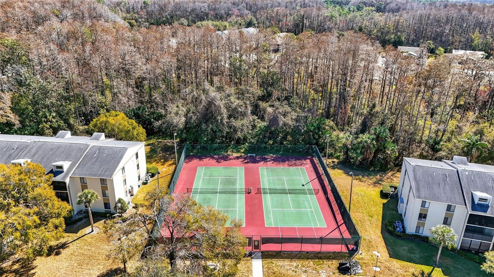 PINE RIDGE AT LAKE TARPON VILLAGE - Residential