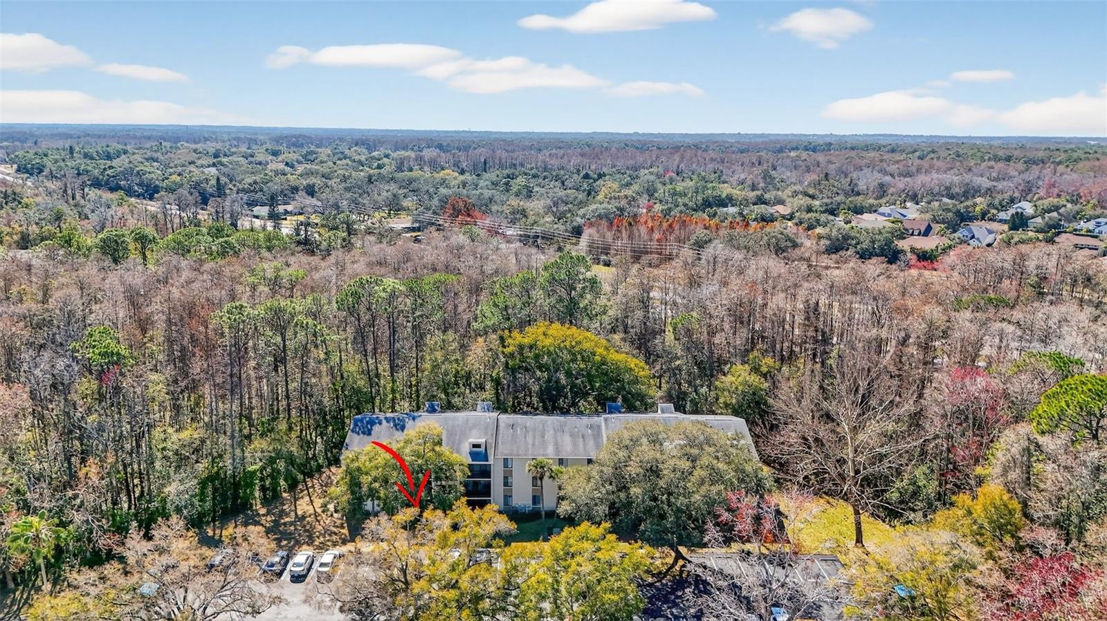 PINE RIDGE AT LAKE TARPON VILLAGE - Residential