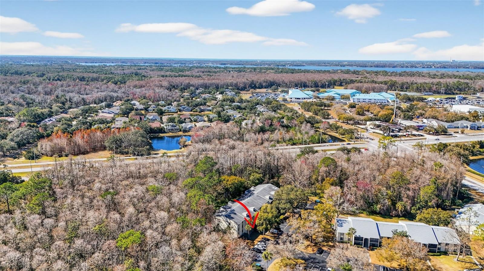 PINE RIDGE AT LAKE TARPON VILLAGE - Residential