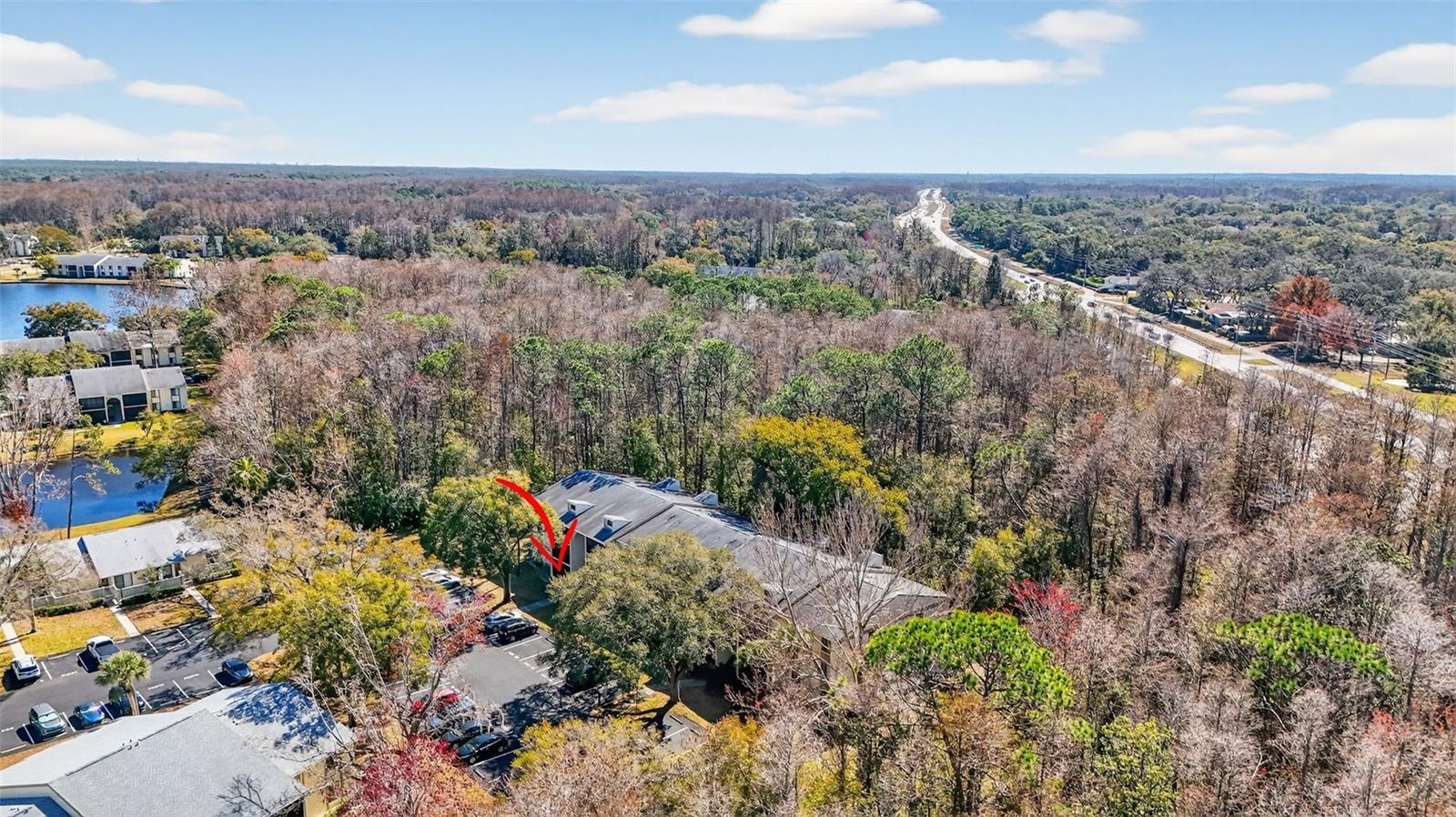 PINE RIDGE AT LAKE TARPON VILLAGE - Residential