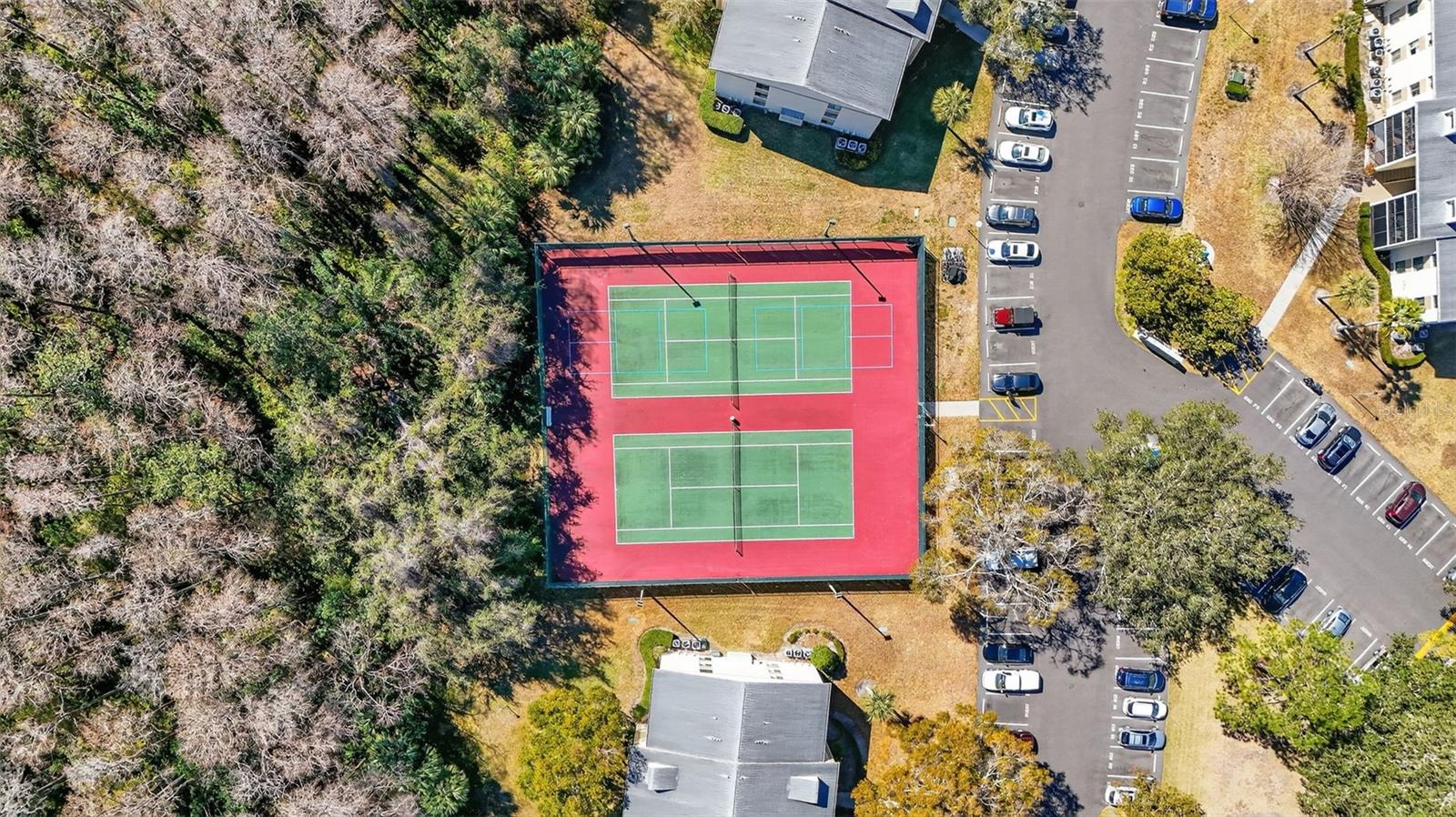 PINE RIDGE AT LAKE TARPON VILLAGE - Residential