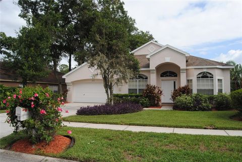 A home in VALRICO