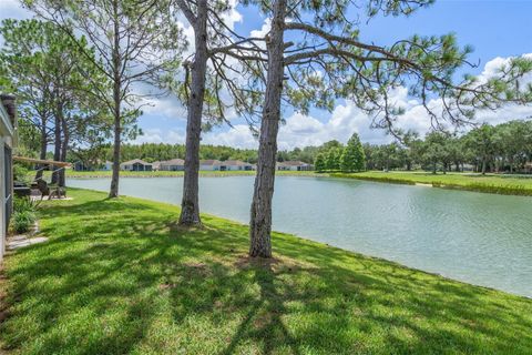 A home in WESLEY CHAPEL