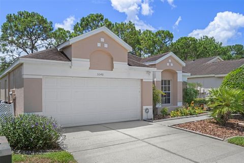 A home in WESLEY CHAPEL