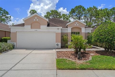 A home in WESLEY CHAPEL