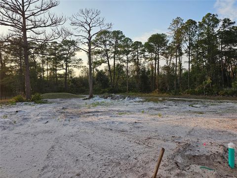 A home in EUSTIS