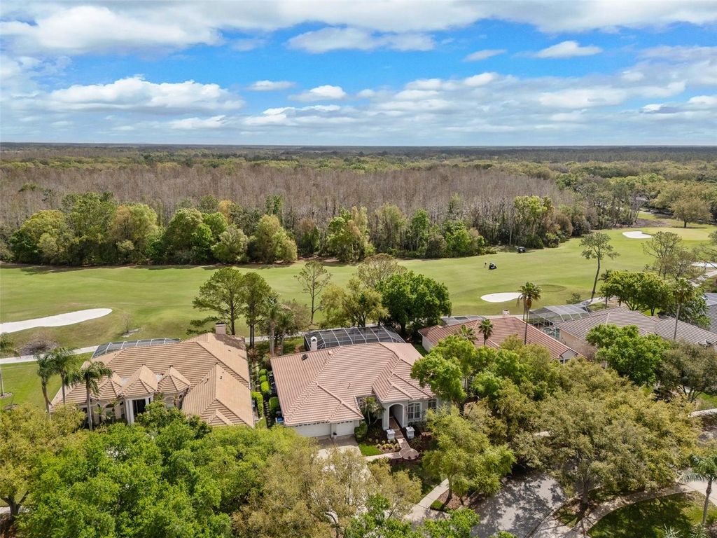 Photo of 17815 Osprey Pointe Place, Tampa, FL 33647 (MLS # GC538188)