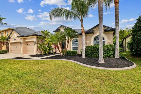 15135 AZRA DRIVE ODESSA FL 33556