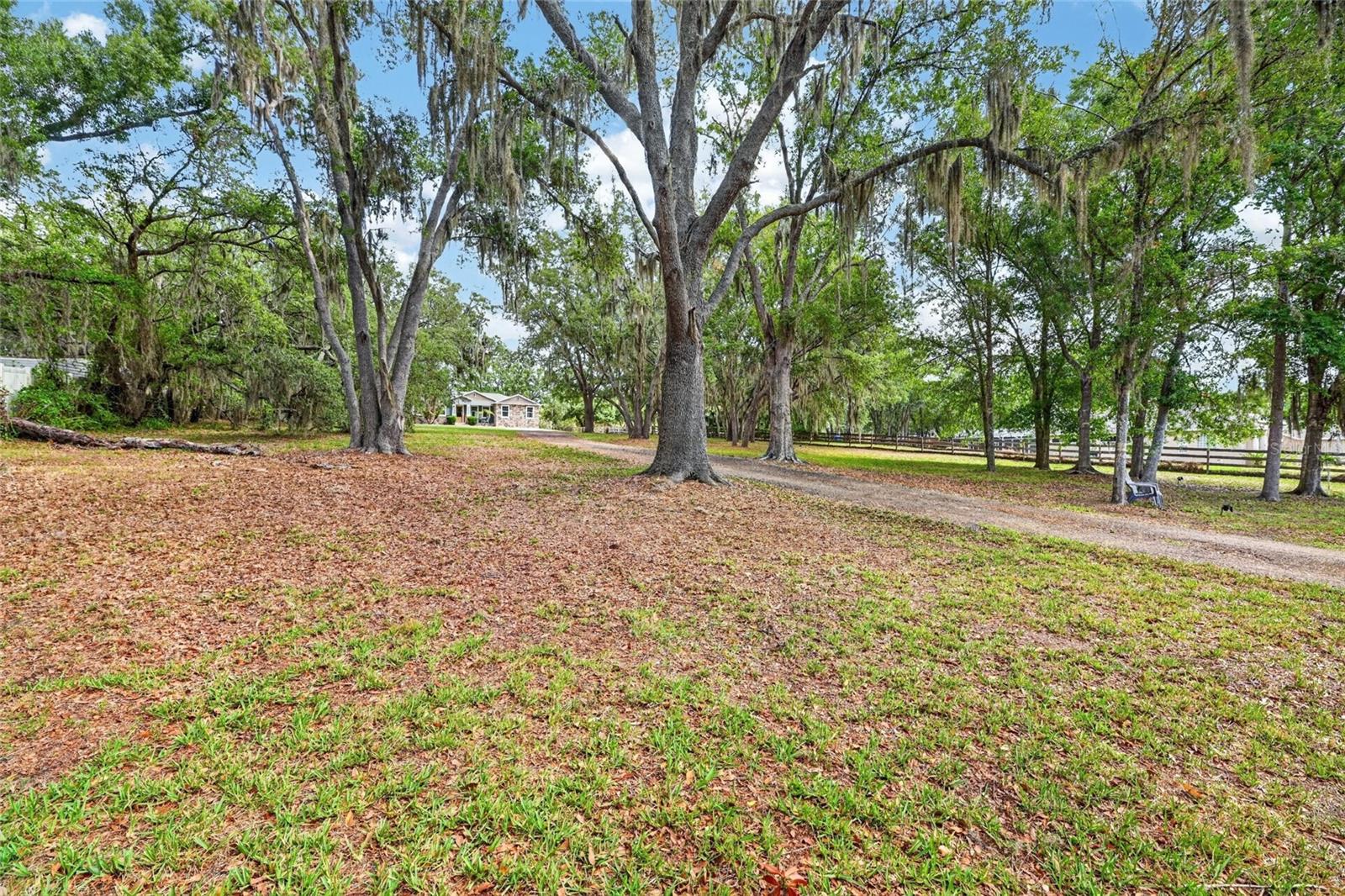 SHADOW RIDGE - Residential