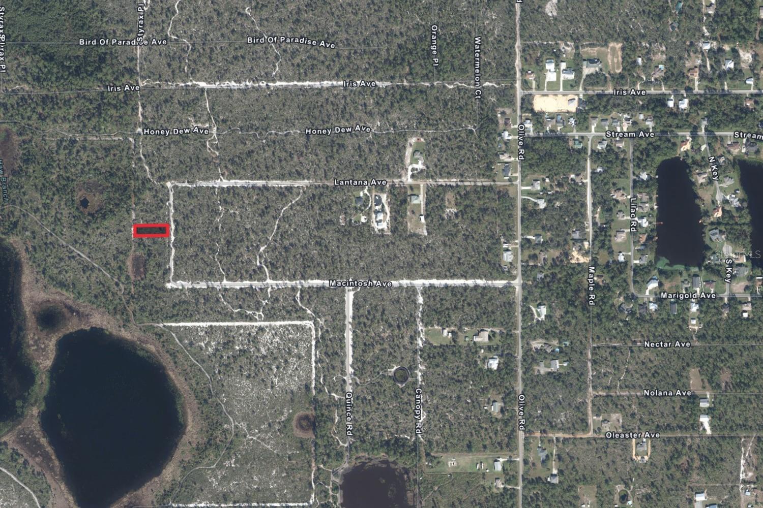 ORANGE BLOSSOM ESTATE - Land