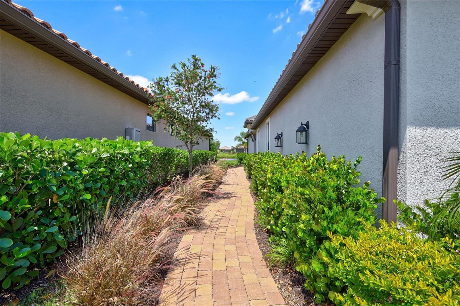 3114 TOLMINO COURT