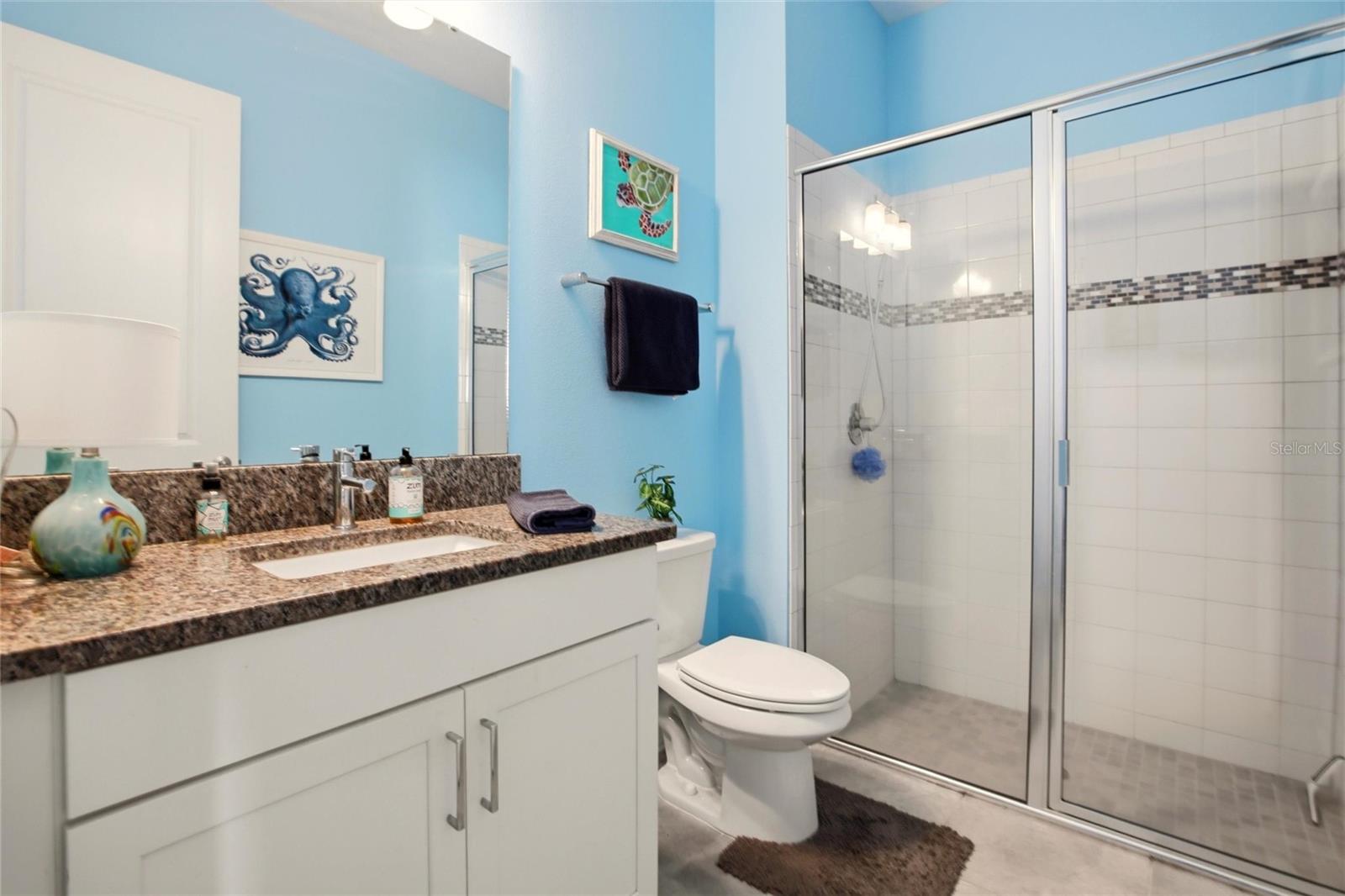 CELEBRATION SOUTH VILLAGE UNIT 4 REP 3 - Residential