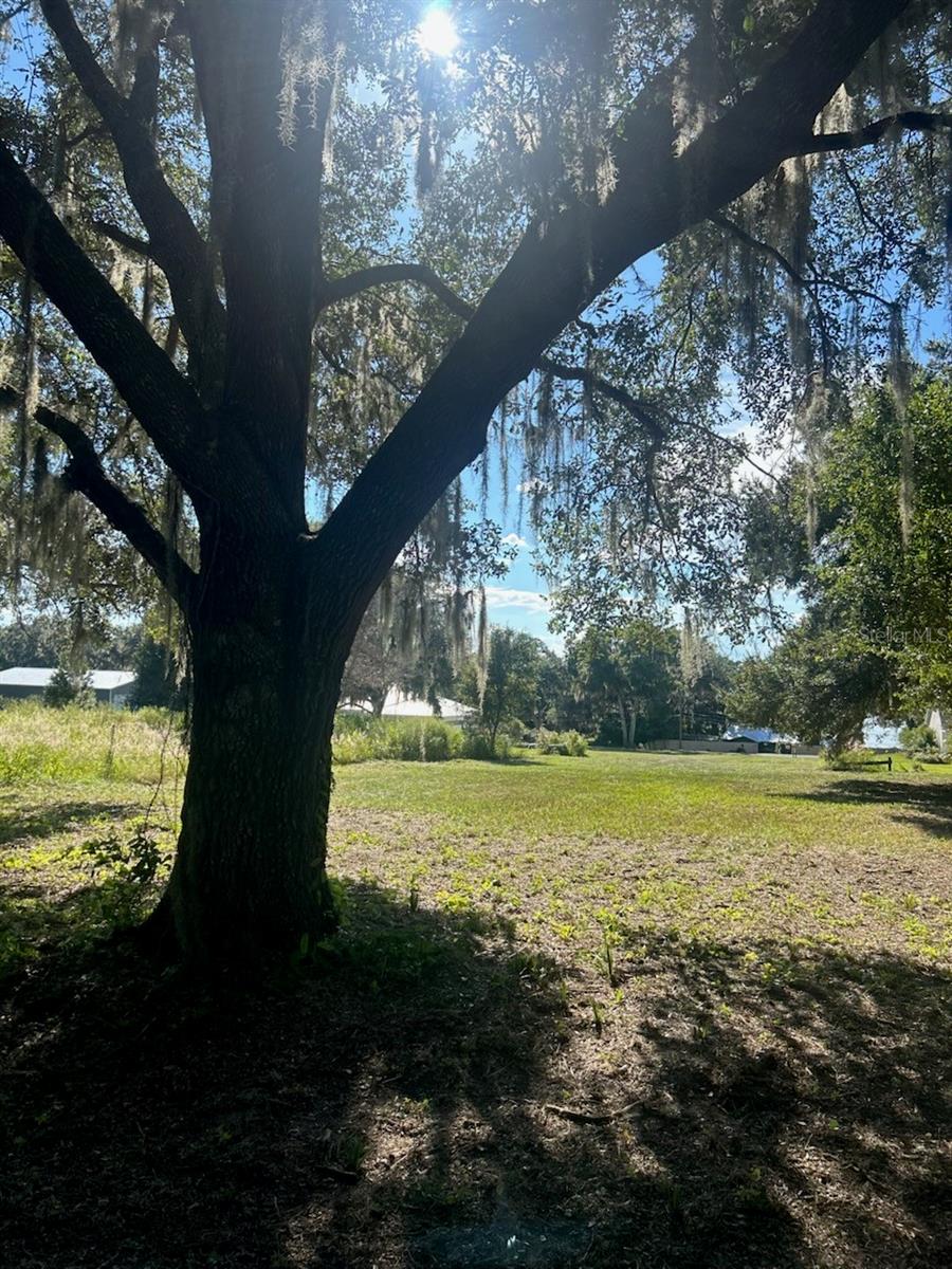 GOODWIN S AMD REV ADD - Land