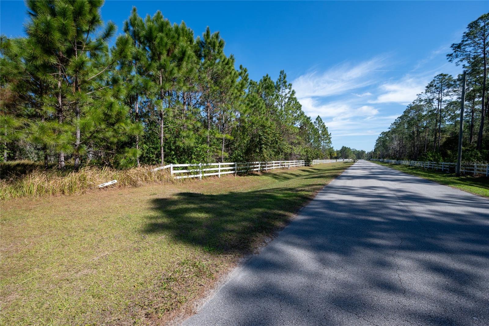 NARCOOSSEE NEW MAP OF - Land