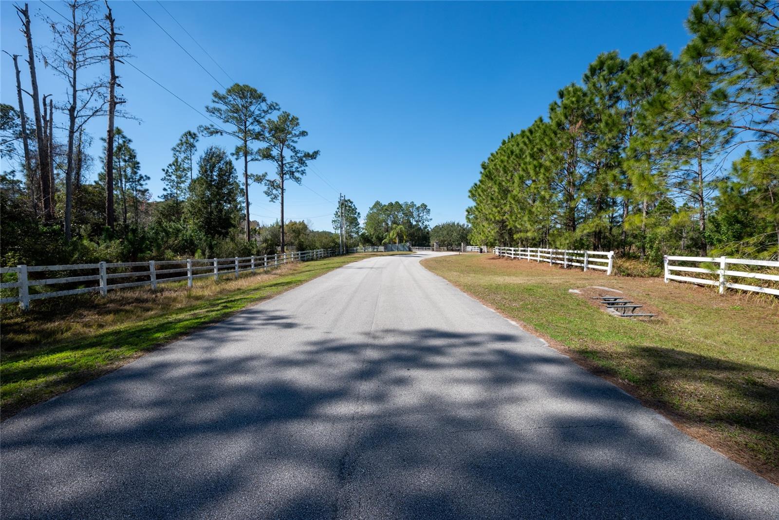 NARCOOSSEE NEW MAP OF - Land