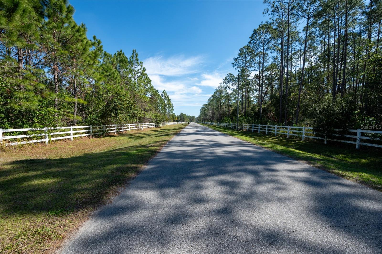 NARCOOSSEE NEW MAP OF - Land