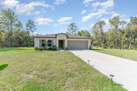 Photo of 3177 W Eldridge Drive, Citrus Springs, FL 34433 (MLS # TB8429321)