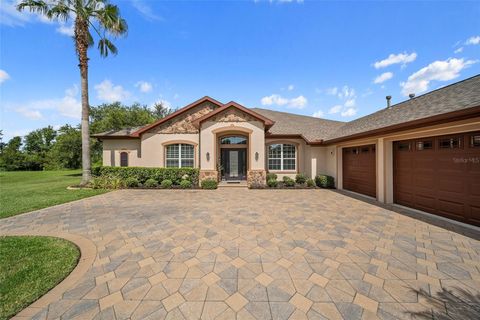 Photo of 11729 Newberry Grove Loop, Riverview, FL 33579 (MLS # TB8397415)