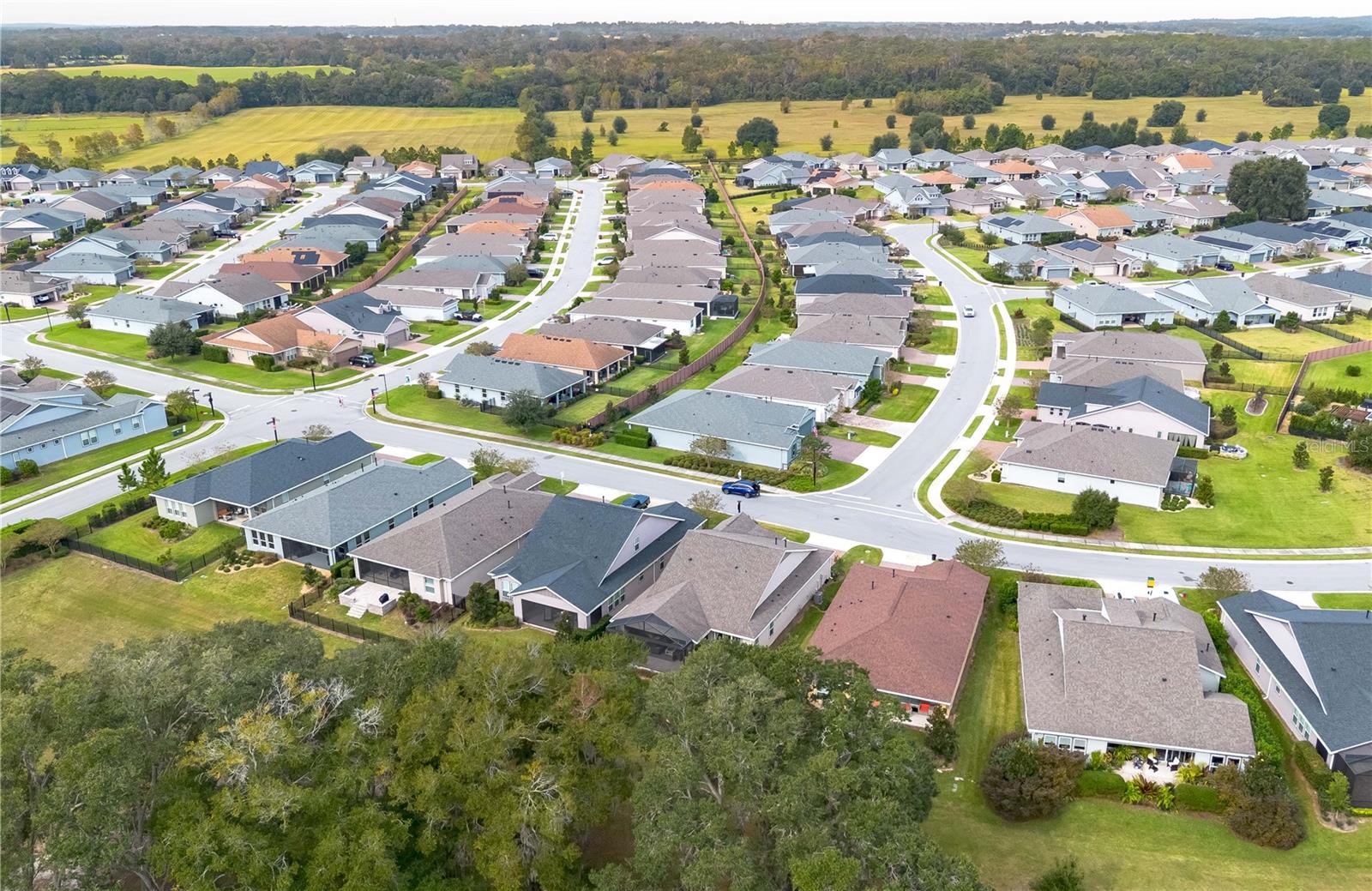 OCALA PRESERVE - Residential