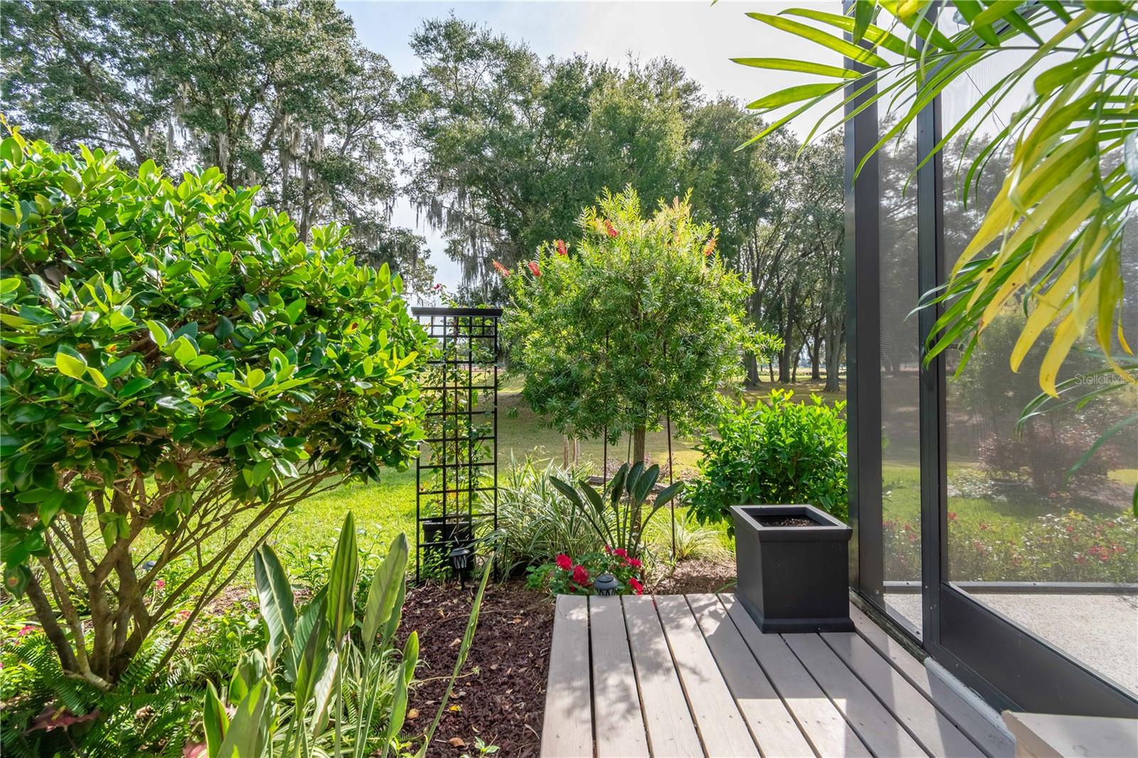 OCALA PRESERVE - Residential