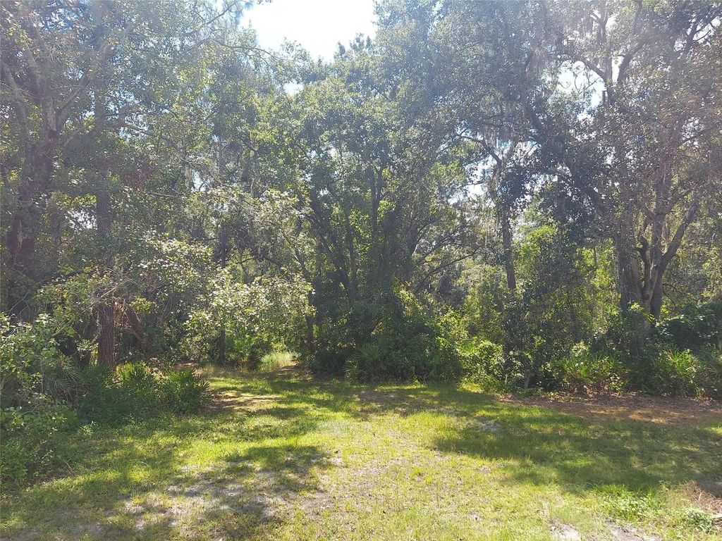 Photo of 0 Finally Road, Plant City, FL 33565 (MLS # TB8499042)