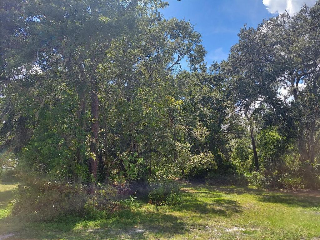 Photo of 0 Finally Road, Plant City, FL 33565 (MLS # TB8499042)