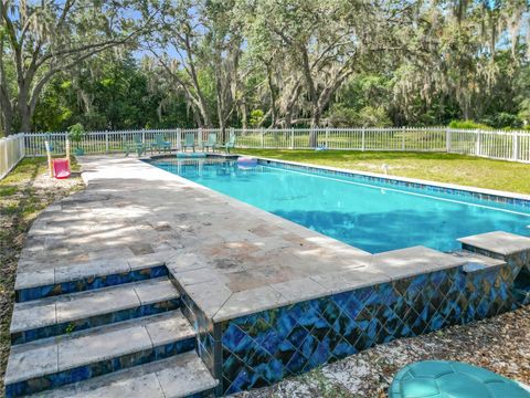 Tiny photo for 390 W Olympia Street, Hernando, FL 34442 (MLS # OM725070)