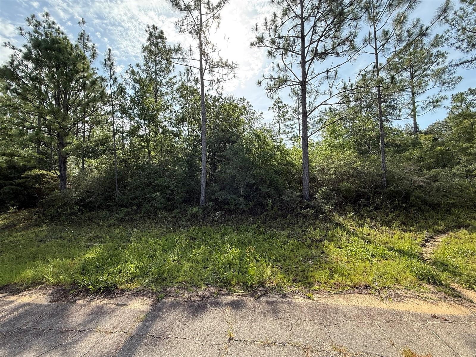 SULLIVAN DRIVE 3