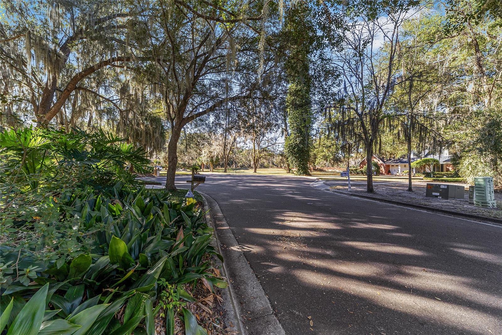 COUNTRY CLUB MANOR - Residential