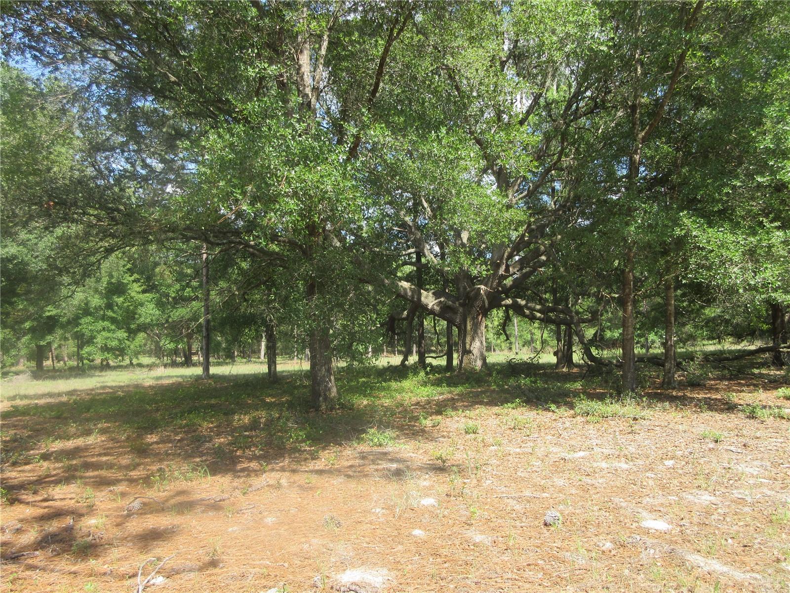 3201 S HIGHWAY 314A