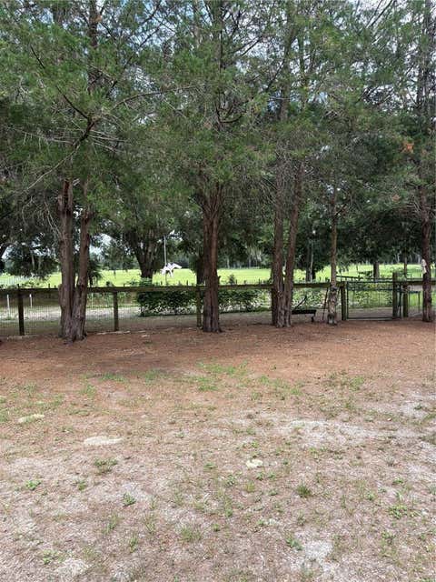 Tiny photo for 1969 SE 155th Street, Summerfield, FL 34491 (MLS # O6420572)